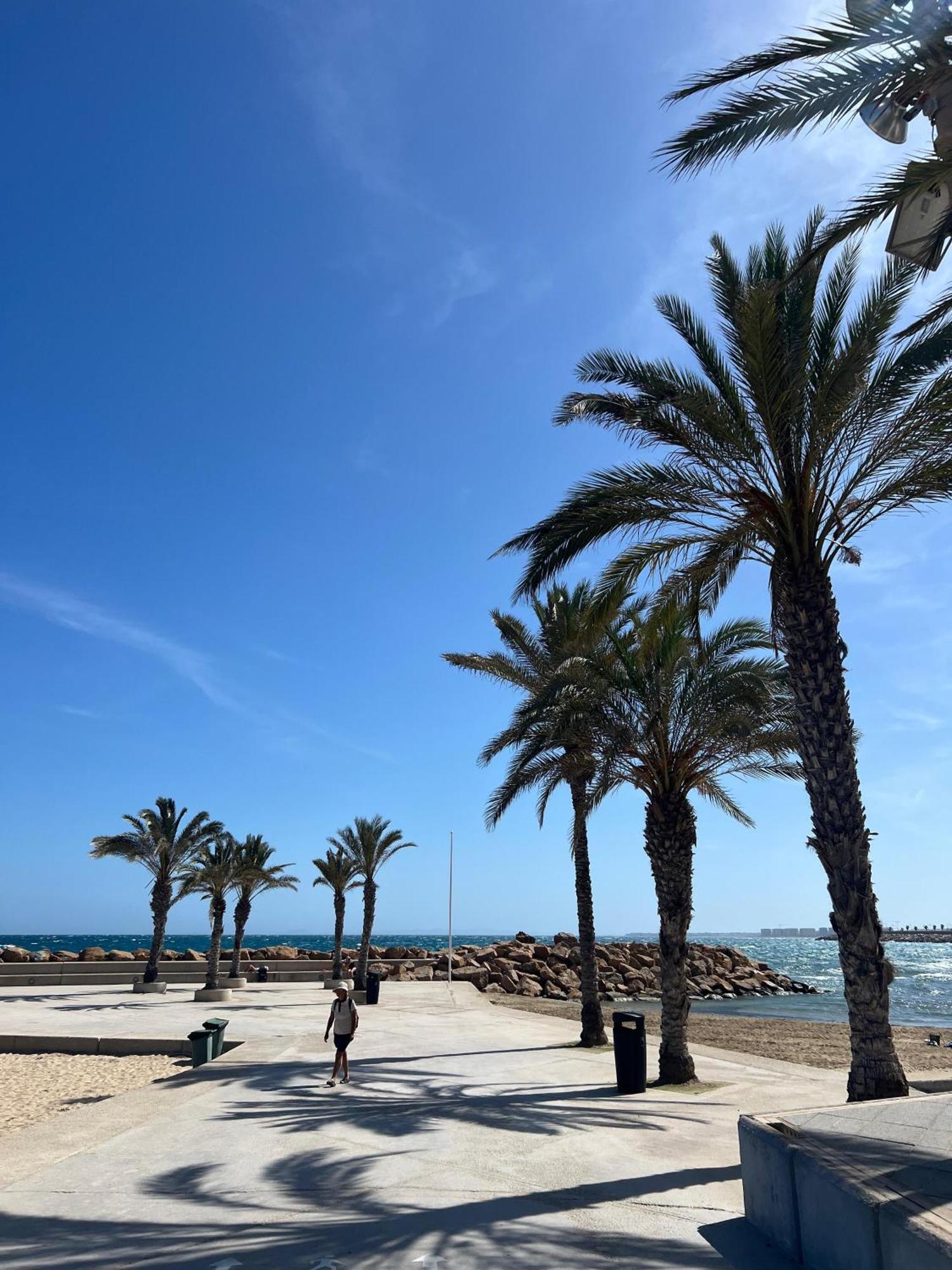 Appartement Torrevieja Alicante Exterior foto