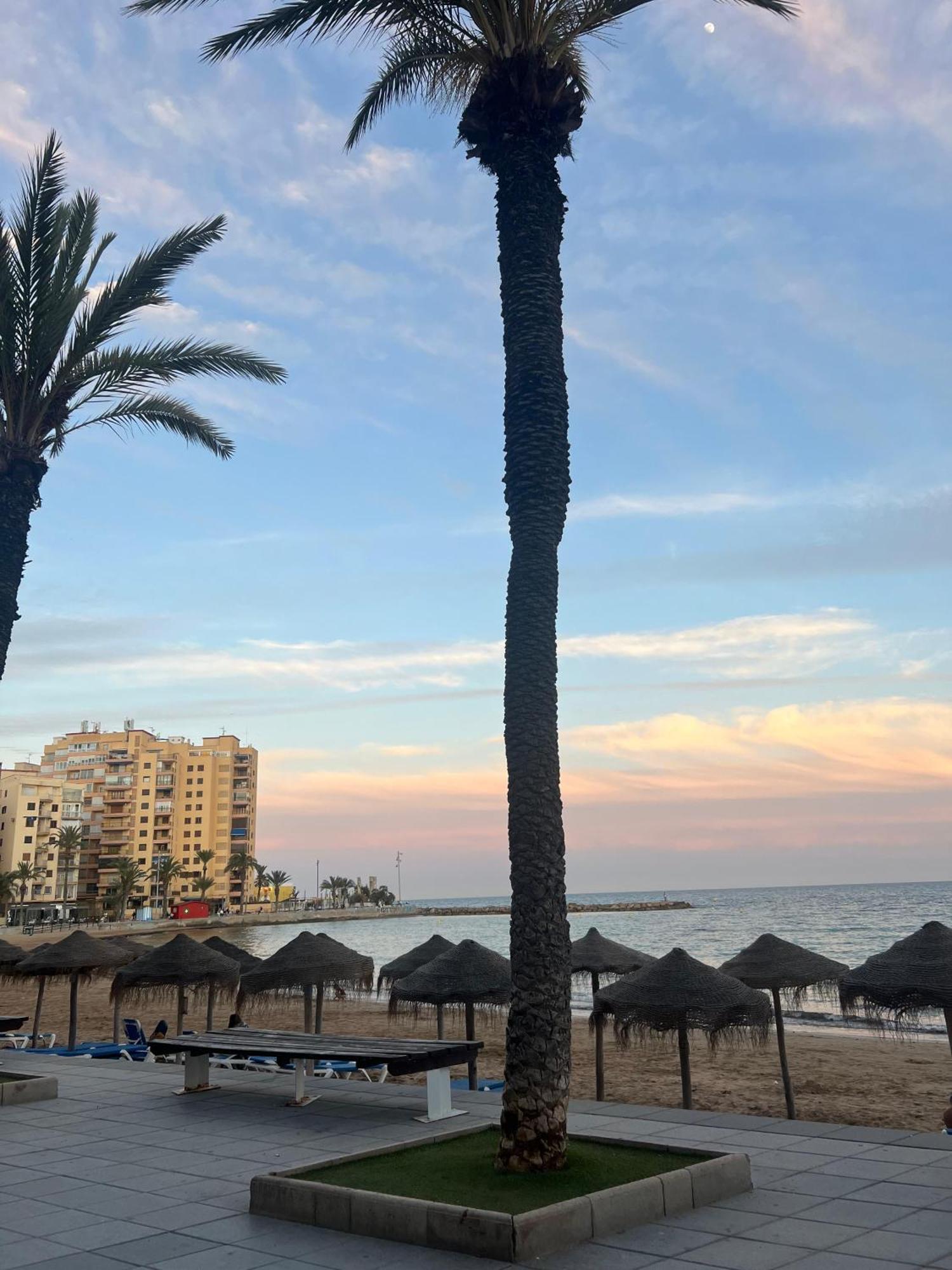 Appartement Torrevieja Alicante Exterior foto